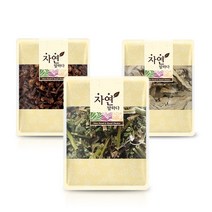 그린약초 곽향 정향 당귀 궁옥향차 SET 800g, 1개