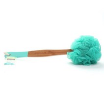 EcoTools 에코퍼프 바스 브러시, 1개