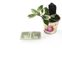 신성 소예 직쌍종지, 1개