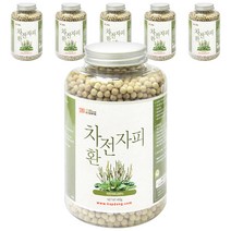 갑당약초 차전자피환, 6개, 400g