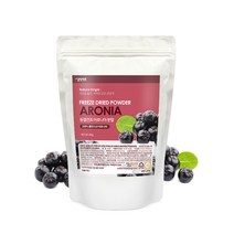 갑당약초 동결건조 아로니아 분말 실속형, 200g, 1개