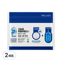 웰라쥬 리얼 히알루로닉 원데이 키트 앰플, 6회분, 2세트