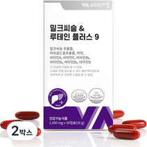 비타민마을 밀크씨슬 루테인 플러스 9 30g, 30정, 2박스