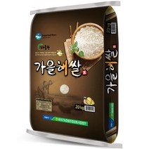 음성군농협 22년햅쌀 가을해쌀 백미, 1개, 20kg(상등급)