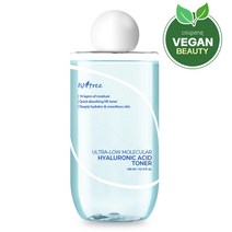 이즈앤트리 초저분자 히아루론산 토너, 300ml, 1개