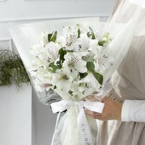 코코도르팜 생화 러빙유 알스트로메리아 꽃다발, 화이트