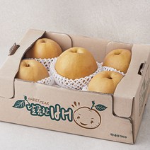 원농산 당도선별 신고배 4~6개입, 1박스, 3kg