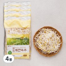 곰곰 뿌리를 다듬어 간편한 하얀숙주 500G, 4봉