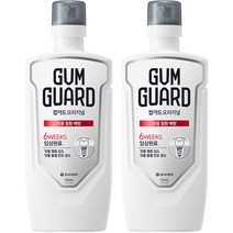 검가드 오리지널 구강청결제, 750ml, 2개