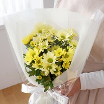 코코도르팜 생화 소국 꽃다발, 크림