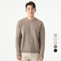 캐럿 남성용 데일리 라운드넥 니트 스웨터