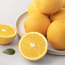 오렌지스페인산 가격비교로 확인하는 가성비 좋은 상품 추천