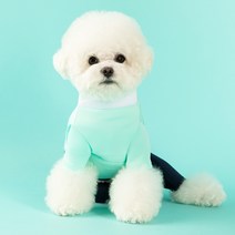도그아이 강아지 옷 네오플렌 한복 올인원, 민트 + 네이비