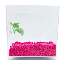 아쿠아테라 뉴탱크 베타어항 + 컬러스톤 500g + 베타침대, 플로워링 핑크