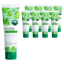 부케가르니 나드 구취케어 치약, 100g, 9개