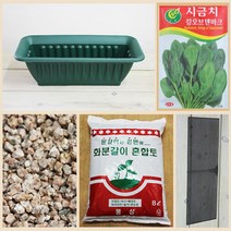 행복한세상 텃밭가꾸기 중 시금치, 1개