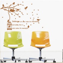 홈코디 힐링캠프 A타입, 브라운