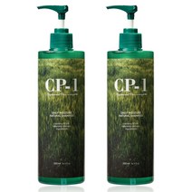 CP-1 데일리 모이스처 내추럴 샴푸, 500ml, 2개입