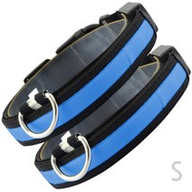 제제펫 컬러라인 애완 LED 목줄 G408PCBH226, 2개입