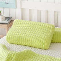 쉬즈홈 베이직 피그먼트 메모리폼 베개 속통포함, 애플 그린, 1개