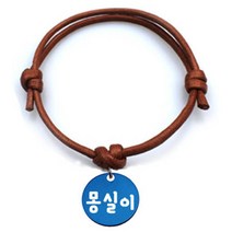 펫츠룩 반려동물 굿모닝 카라멜 목걸이S 원형블루S, 몽실이, 1개