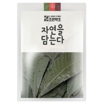 조은약초 비파잎, 150g, 1개