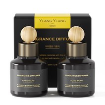 아이엠듀 퍼퓸 차량용 방향제 디퓨저 80mL 2개 + 우드볼스틱 2개, 일랑일랑, 1세트