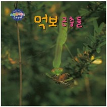 먹보 곤충들, 세종