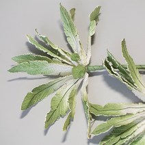엠디자인 조화 야자수 나무, 그린