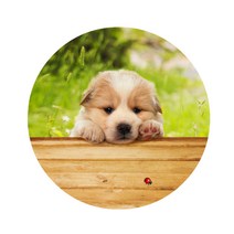 스윗리빙 릴렉스 펫 주방매트, 18, 1개