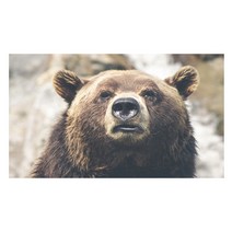 UVDS 주방아트보드 동글동글 곰, 1개