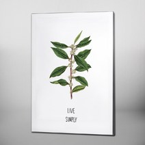 RYMD Live simple green 엣지 액자, 블랙