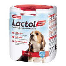 비아파 락톨 퍼피 강아지 영양보충제 500g, 분리유청단백질, 1개