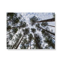 리틀하이커 Tree 캔버스 프린팅 액자 A3W36 38