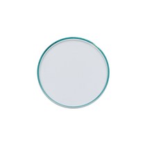 비전글라스 유리 리드 66, 투명, 1개