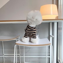 매그독 허쉬 스트라이프 반려동물 티셔츠, 베이지