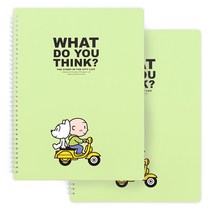 투영디자인 뭉크 20P 트윈링 클리어파일, 그린, 2개입