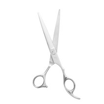 앙비뉴 블루홀스 홈시터 가정용 고급 반려동물 미용가위 10.5 x 17 cm TJBL-60, 1개