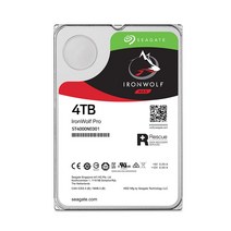 씨게이트 서버용 아이언울프 프로 3.5 HDD, ST4000NE001, 4TB