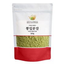서울아레나 뽕잎분말 국내산, 1개, 300g
