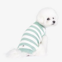 리얼펫 스트라이프 니트 강아지 옷, 아쿠아