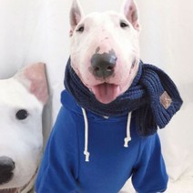 유앤펫 중대형견 겨울 니트 목도리, 네이비, 1개