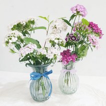 그로브 유리화병 2p 세트, 투명, 블루