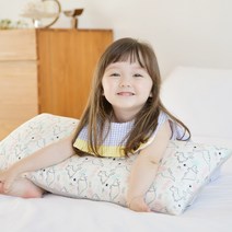 아띠블랑 아이스 인견 와이드 유아베개, 디노포레스트
