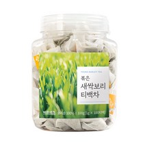 바른에프엔비 새싹보리 티백, 1g, 100개입, 1개