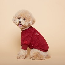 플로트 강아지 플러피 후리스 맨투맨, 버건디