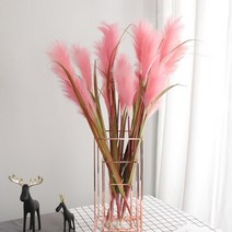 조화 갈대 핑크뮬리 촬영소품, 핑크