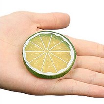 대한 과일 푸드 음식 모형 컨셉 촬영 인테리어 소품 20p, 008 건조과일칩 라임