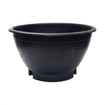 블루베리 화분 600