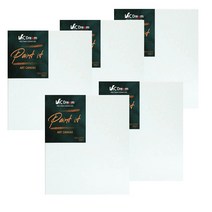 빅드림 Paint it 전문가용 면천 캔버스 정사각, 20호, 5개